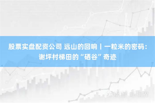 股票实盘配资公司 远山的回响丨一粒米的密码：谢坪村梯田的“硒谷”奇迹