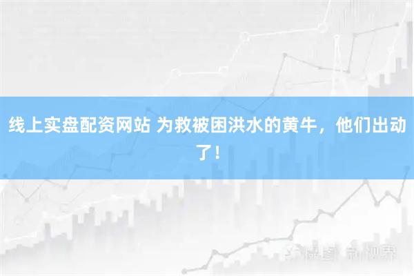 线上实盘配资网站 为救被困洪水的黄牛，他们出动了！